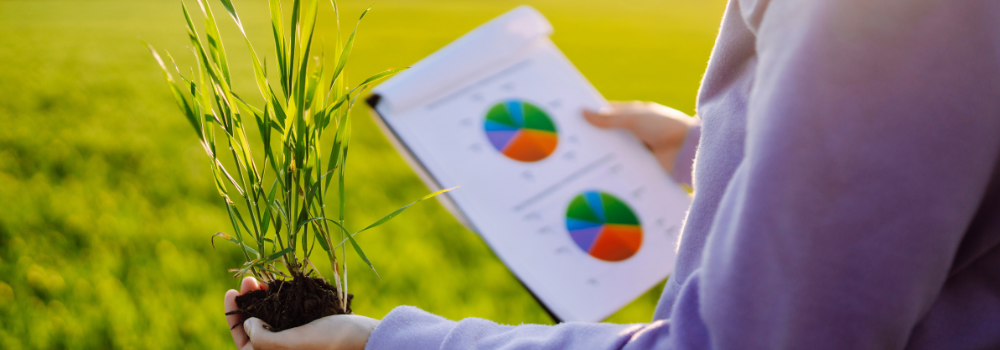 Soil health check up organic farming