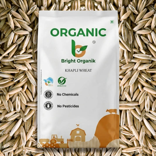 Organic Khapli Wheat