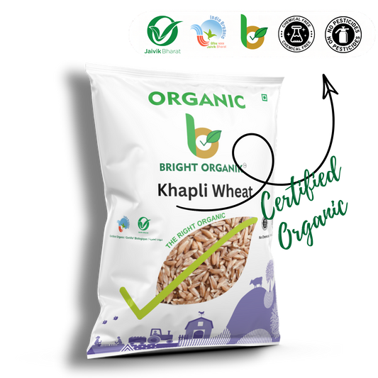 Organic Khapli Wheat
