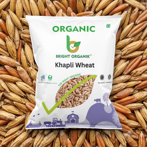 Organic Khapli Wheat