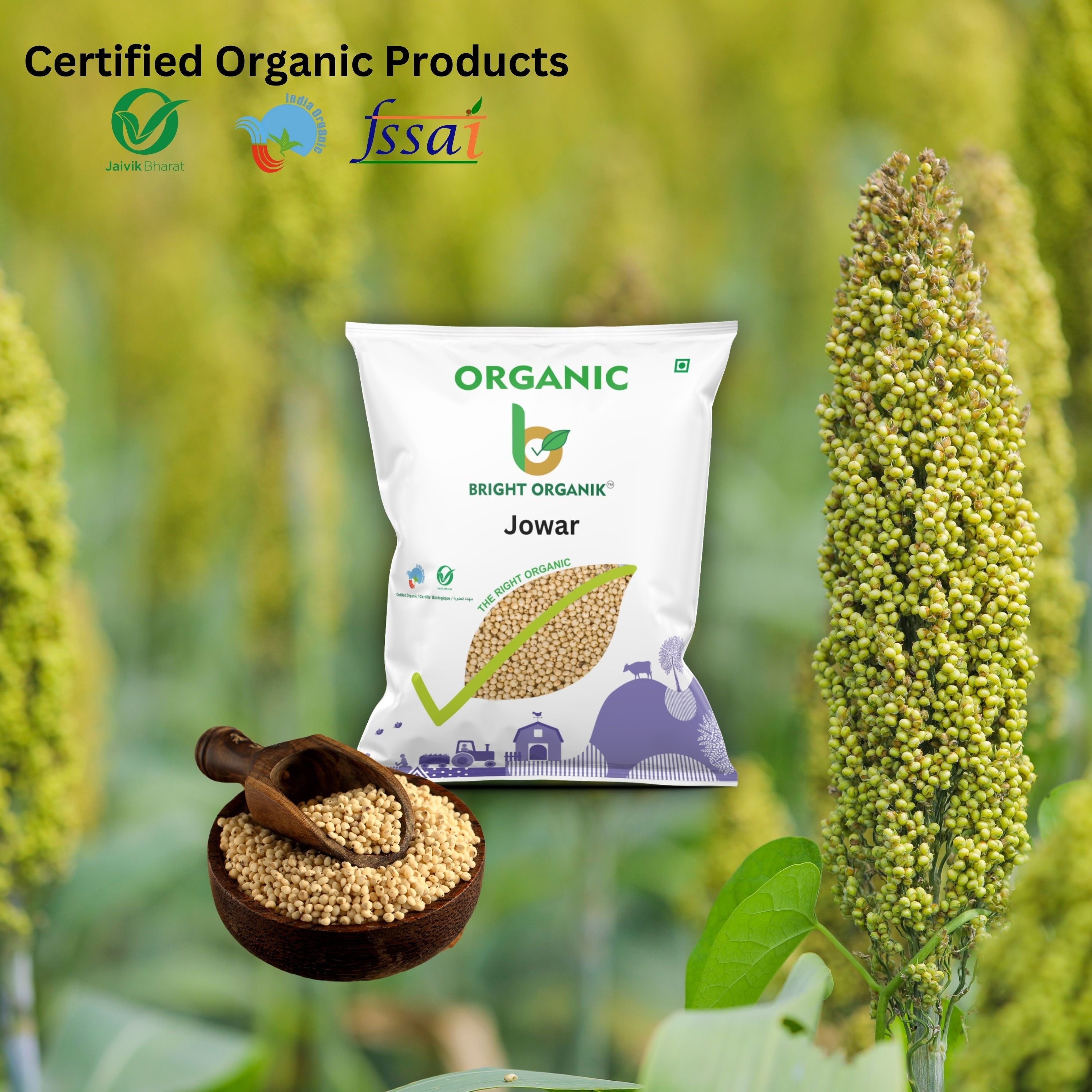 Organic Jowar