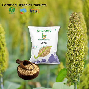 Organic Jowar