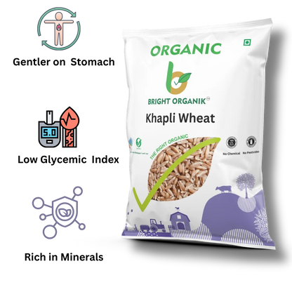Ancient Grains Discovery Pack
