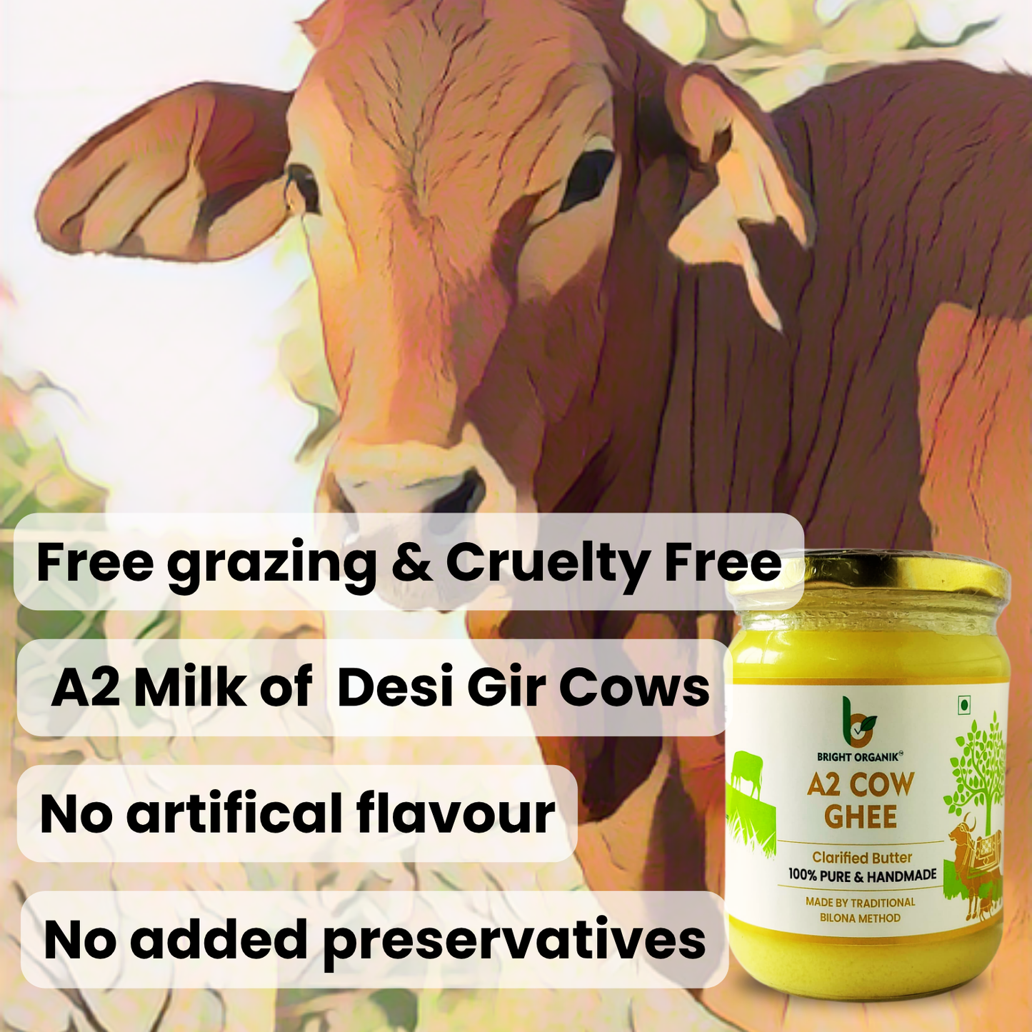 A2 Ghee