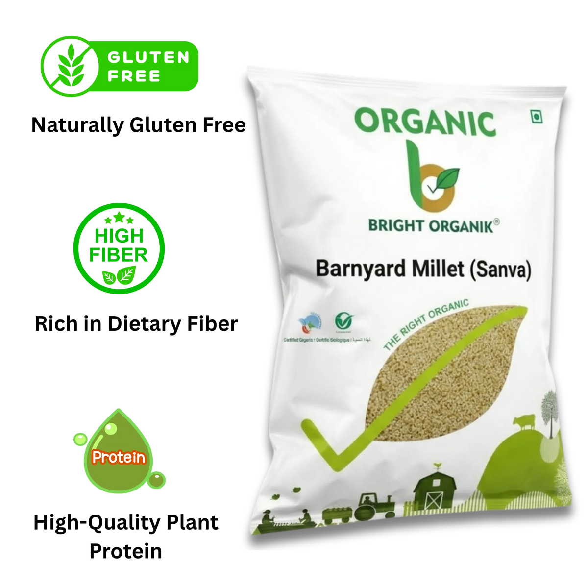 Organic Banyad Millet (Sanva)