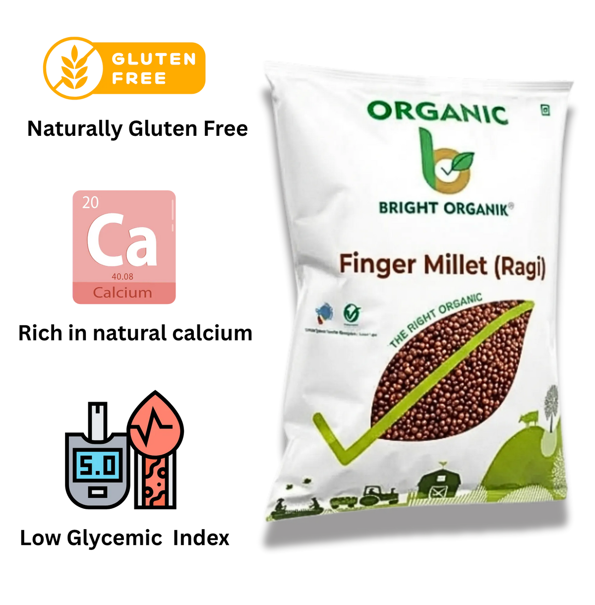 Organic Finger Millet (Ragi)