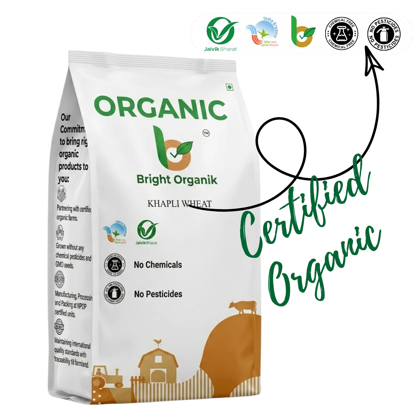 Organic Khapli Wheat