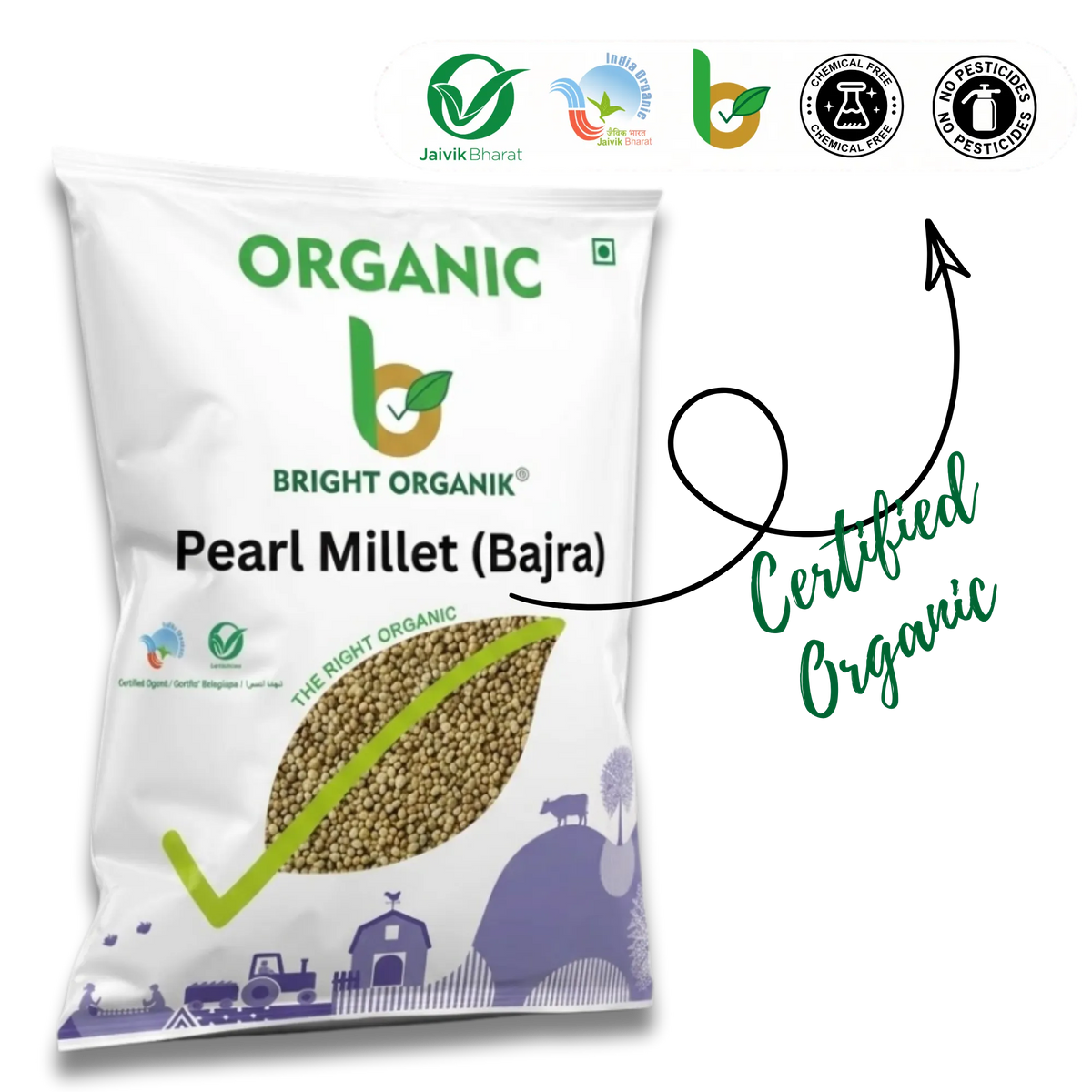 Organic Pearl Millet (Bajra)