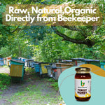 Load image into Gallery viewer, Natural Forest Honey - Bright Organik
