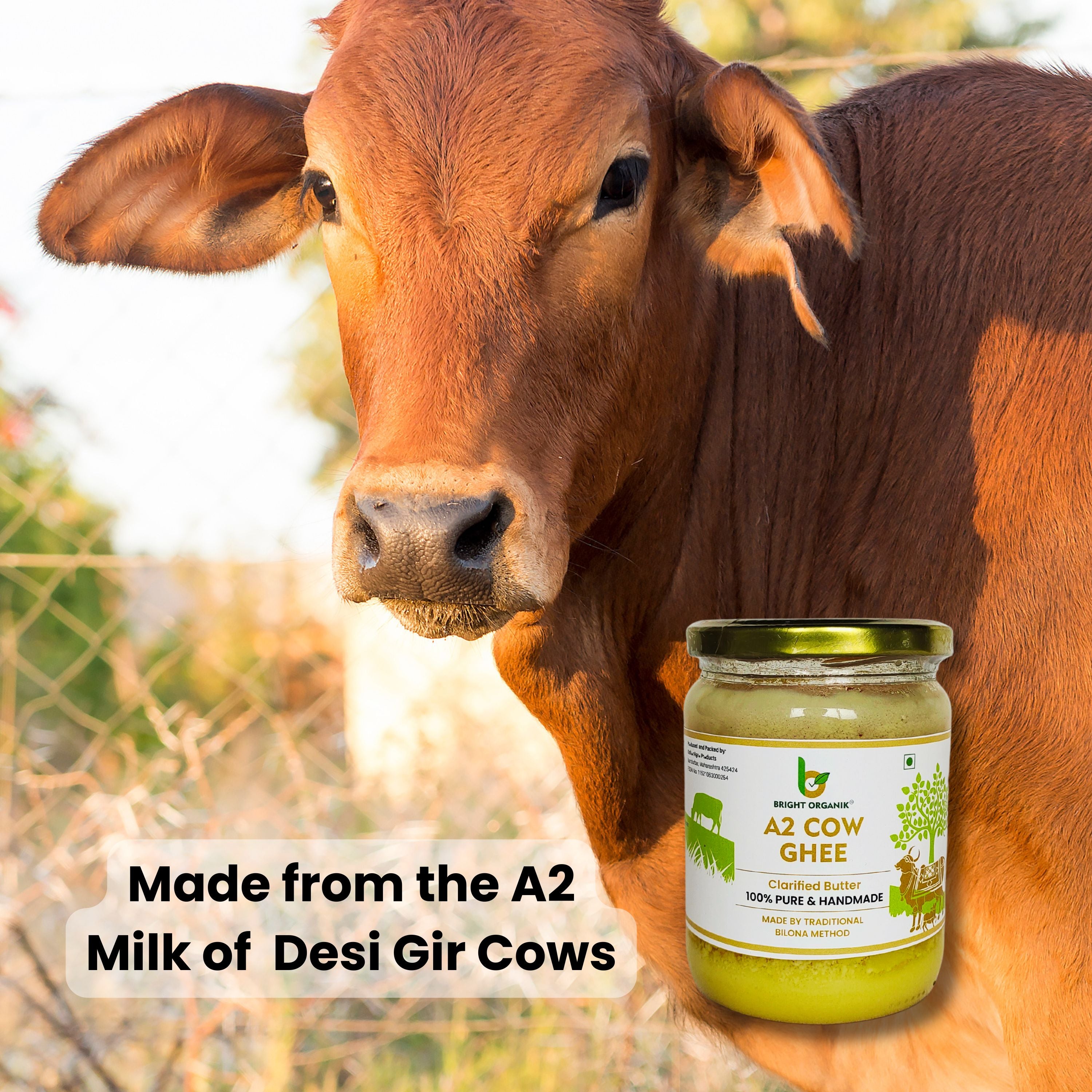 Desi Ghee made from Gir Cow Milk