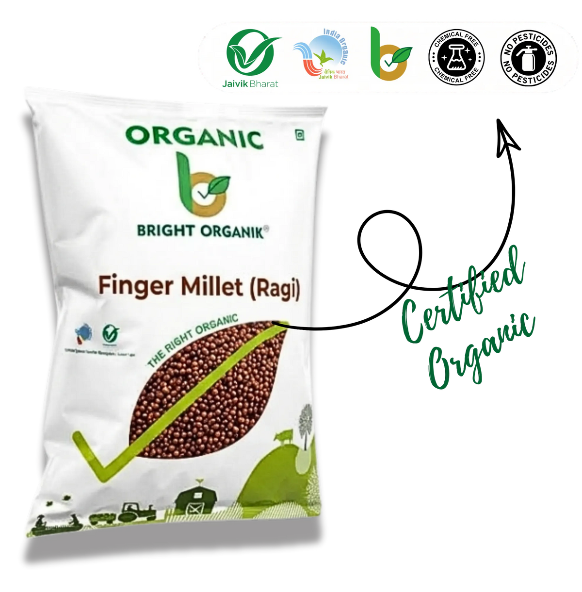 Organic Finger Millet (Ragi)