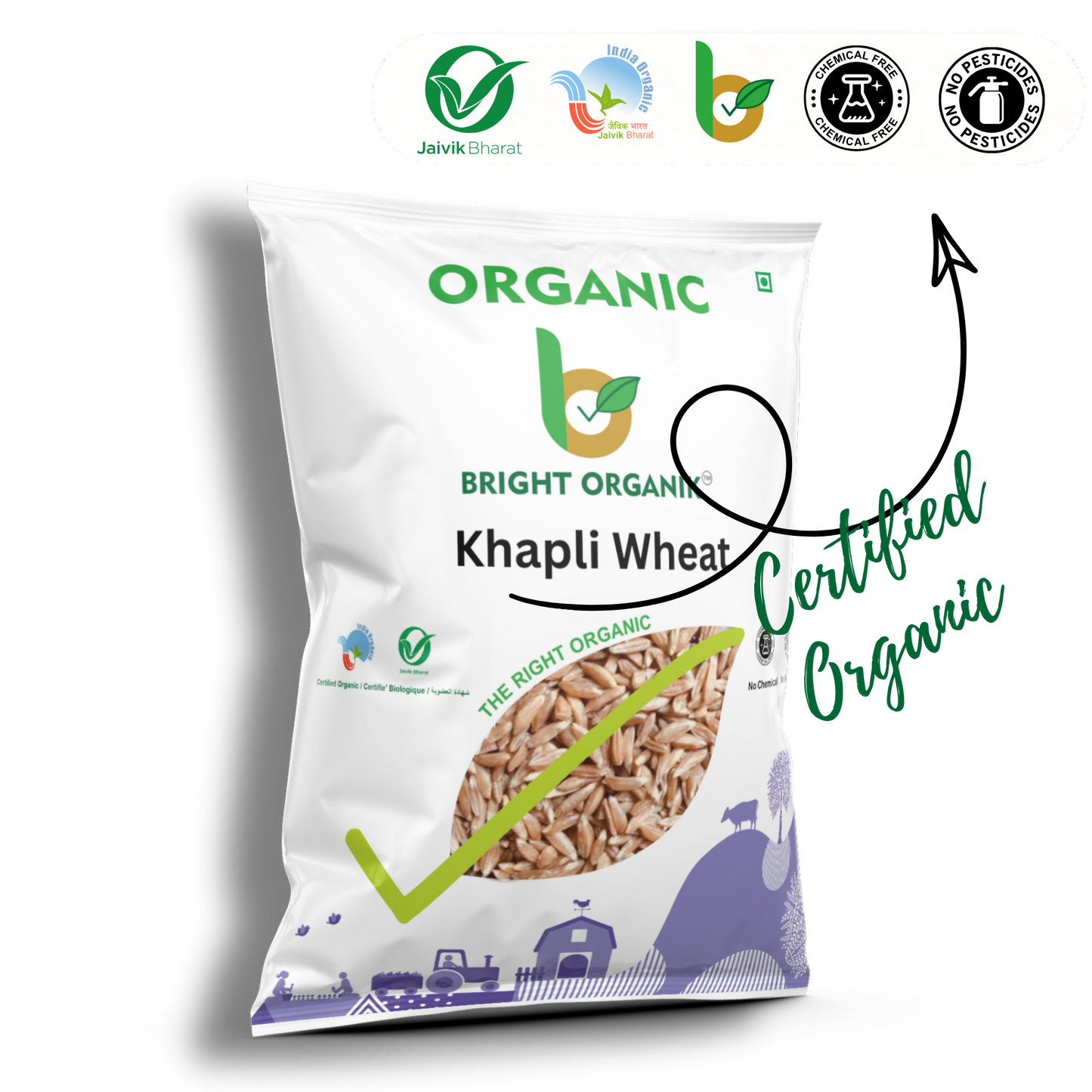 Organic Khapli Wheat