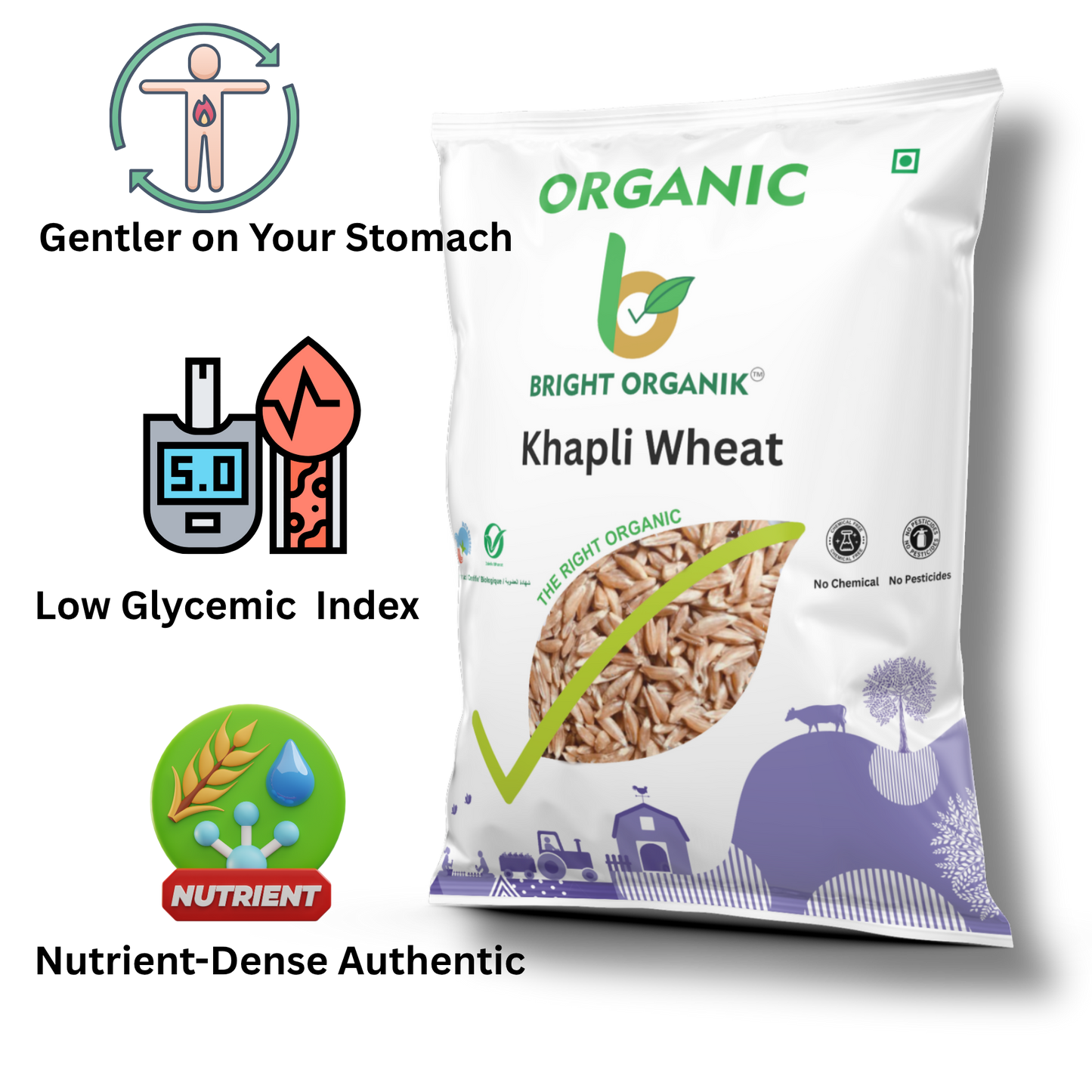 Organic Khapli Wheat