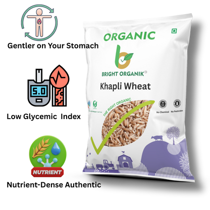 Organic Khapli Wheat