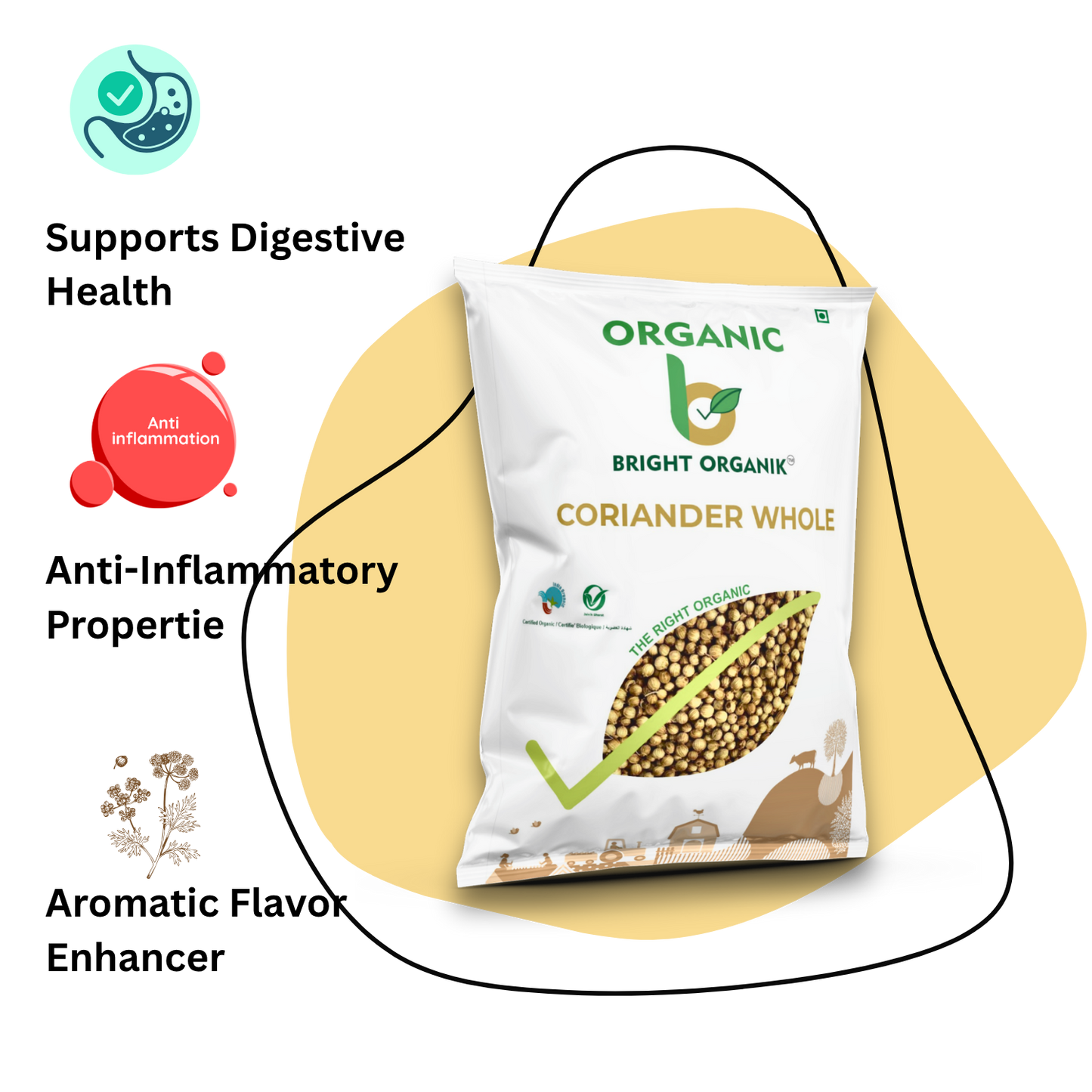 Organic Coriander whole