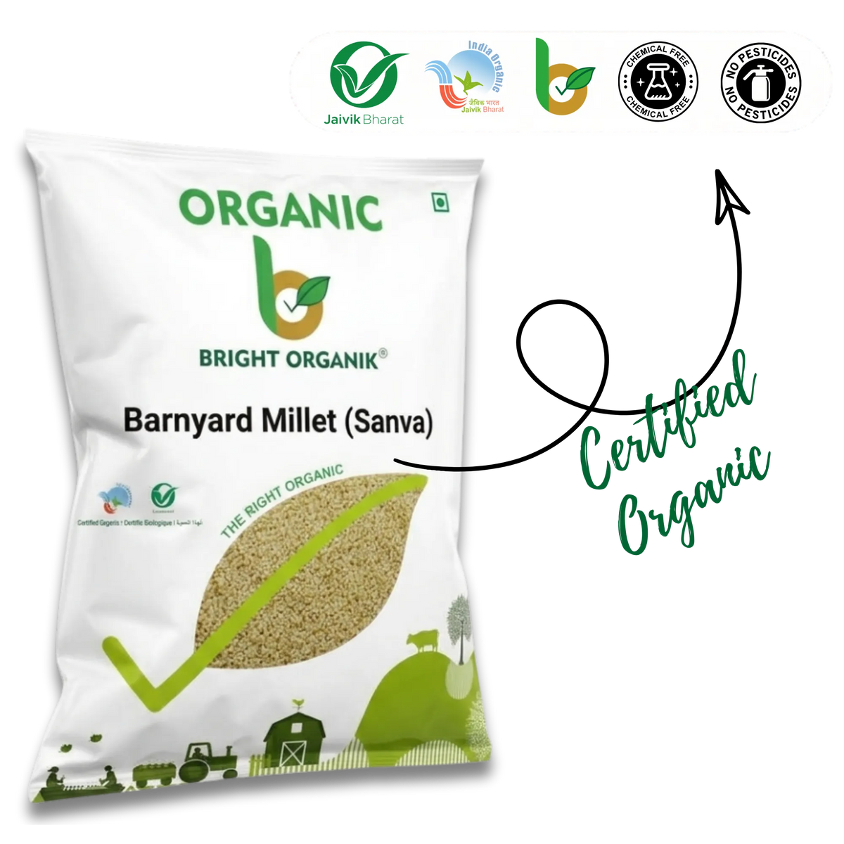 Organic Banyad Millet (Sanva)