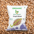 Organic Khapli Wheat