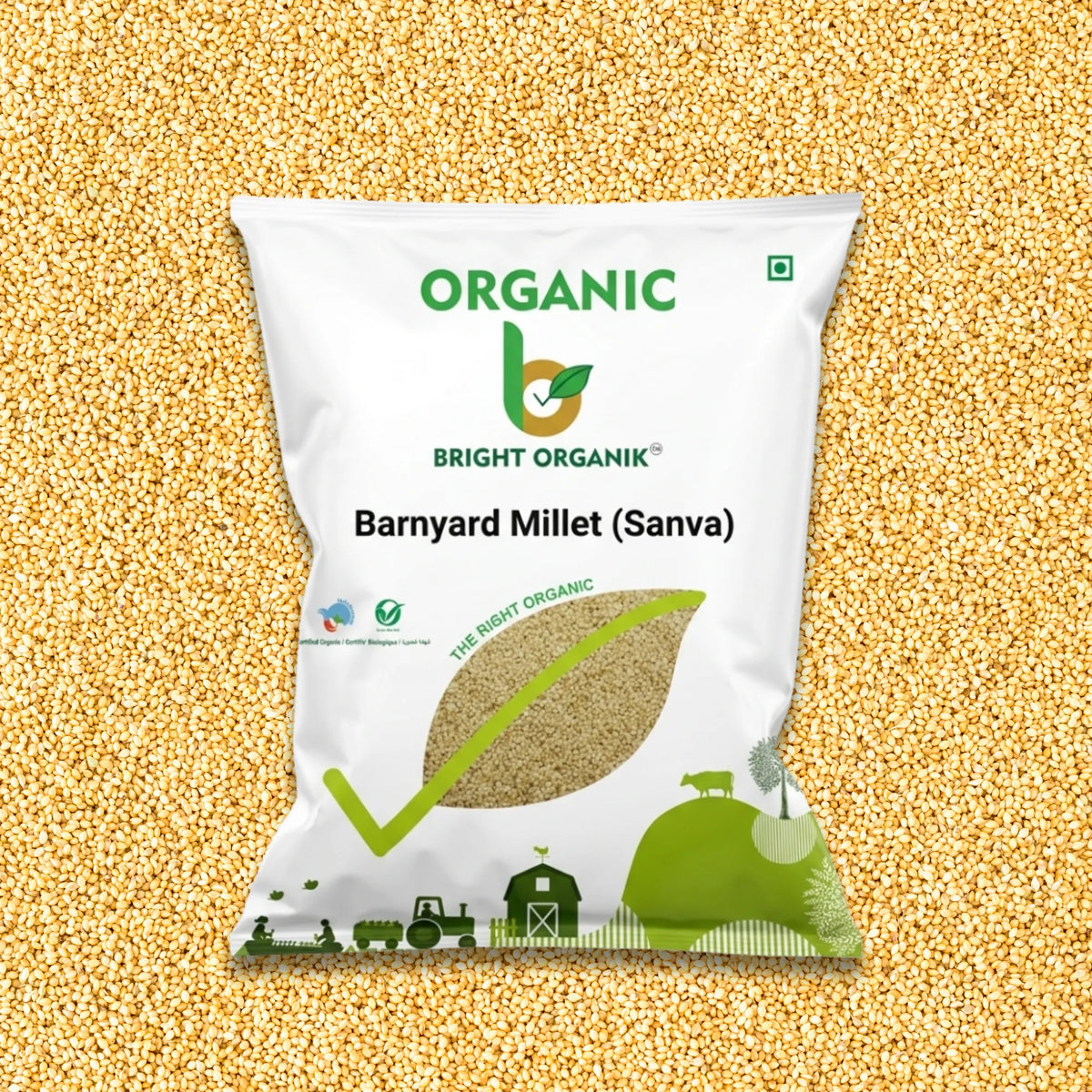 Organic Banyad Millet (Sanva)
