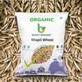 Organic Khapli Wheat