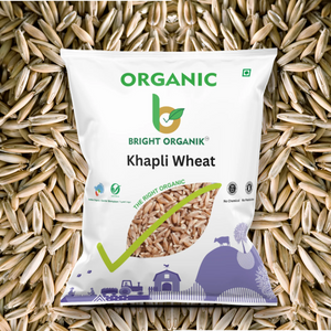 Organic Khapli Wheat